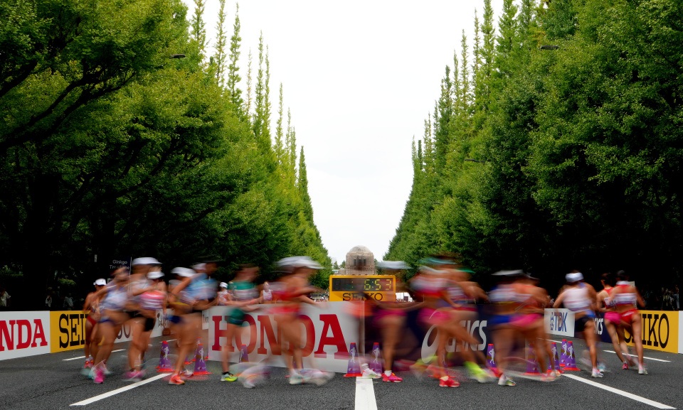 中国选手杨, om 中国选手杨, om