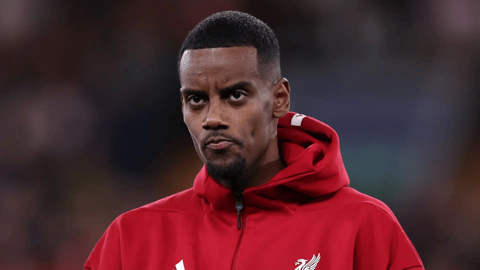 投入比赛 投入比赛